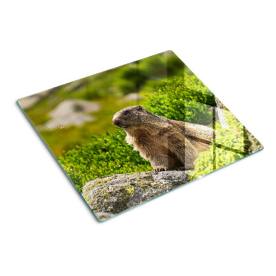 Tocător de bucătărie Marmotă pe un fundal de iarbă verde