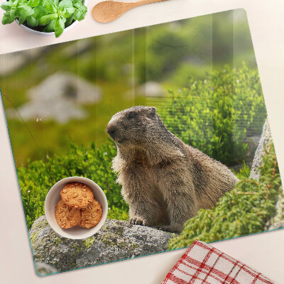 Tocător de bucătărie Marmotă pe un fundal de iarbă verde