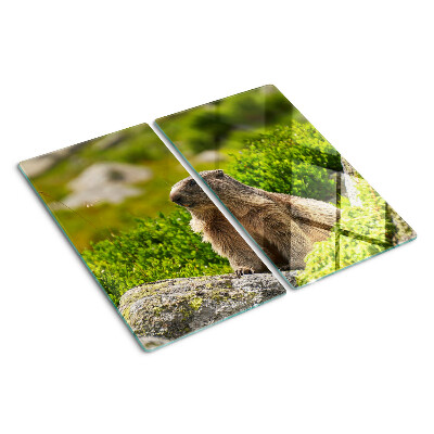 Tocător de bucătărie Marmotă pe un fundal de iarbă verde