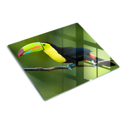 Tocător de bucătărie Tucan pe o creangă