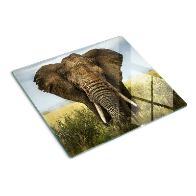 Tocător sticlă Un elefant pe fundalul savanei africane