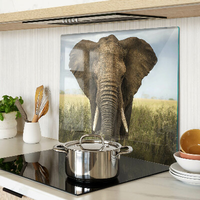 Tocător sticlă Un elefant pe fundalul savanei africane