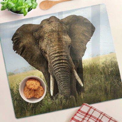 Tocător sticlă Un elefant pe fundalul savanei africane