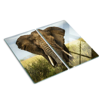 Tocător sticlă Un elefant pe fundalul savanei africane