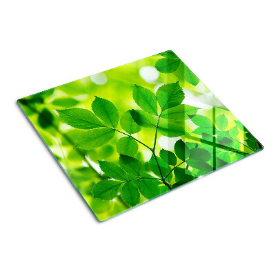 Tocător de bucătărie Frunze pe un fundal verde