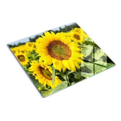Tocător de bucătărie Floarea-soarelui pe un fundal verde