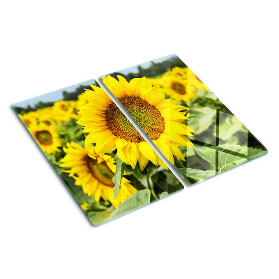 Tocător de bucătărie Floarea-soarelui pe un fundal verde