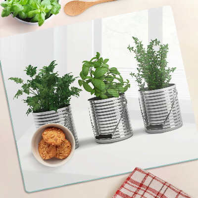 Tocător sticlă Plante în ghivece metalice
