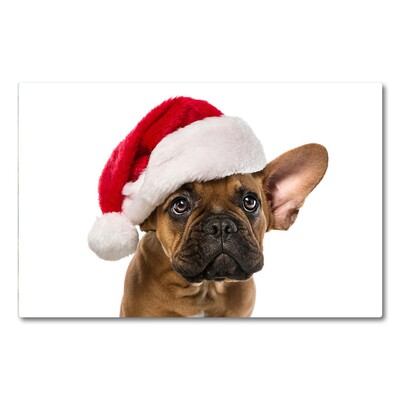 Tocator din sticla Bulldog Christmas Dog