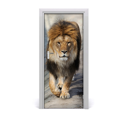 Autocolante pentru usi perete Lion