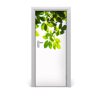 Autocolante pentru usi autocolant de perete furnir frunze ușă verde