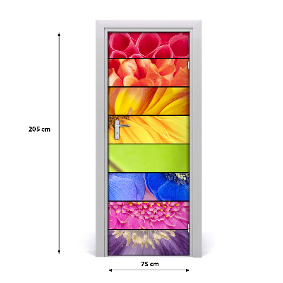 Autocolante pentru usi flori colorate