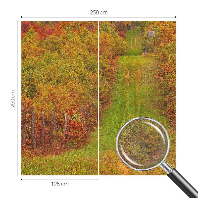 Fototapet vlies imprimat Lebădă și nuferi