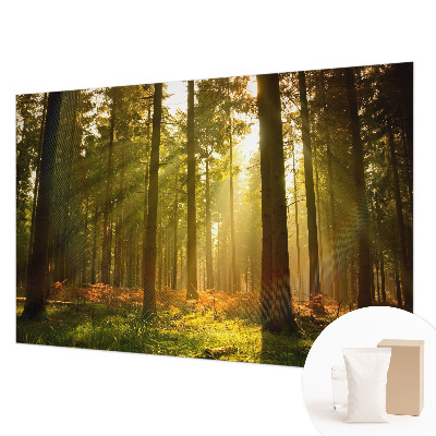 Fototapet vlies pentru dormitor cu motiv pasăre colorată