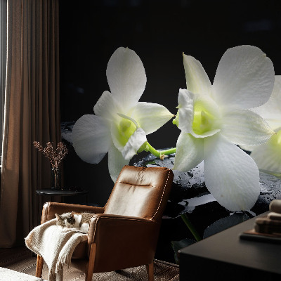 Tapet foto Valuri colorate