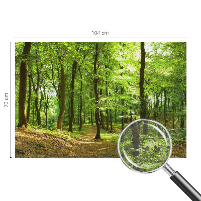 Fototapet la comandă pentru living Hexagone pastelate