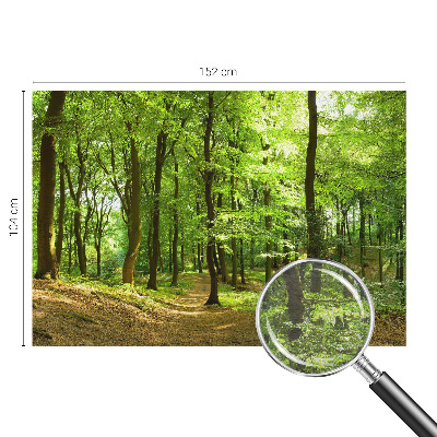 Fototapet la comandă pentru living Hexagone pastelate