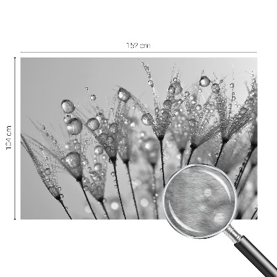 Tapet foto pe vlies Păsări magnolii