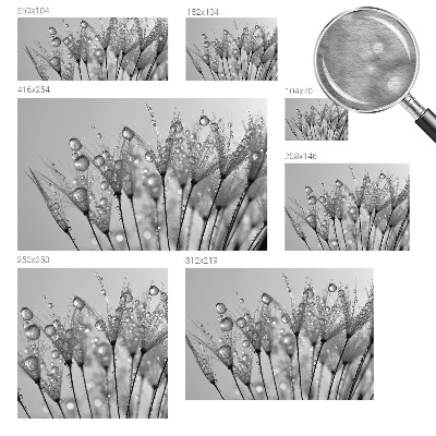 Tapet foto pe vlies Păsări magnolii