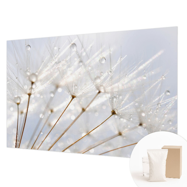 Fototapet Verdeață naturală