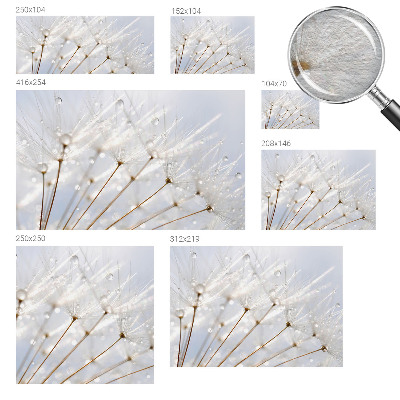 Fototapet Verdeață naturală