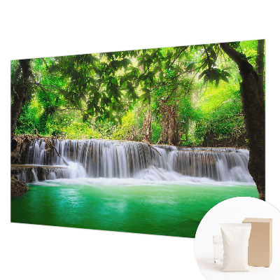 Fototapet vlies pentru living cu păsări colorate