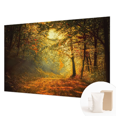 Fototapet modern pentru living cu panoramă a pădurii