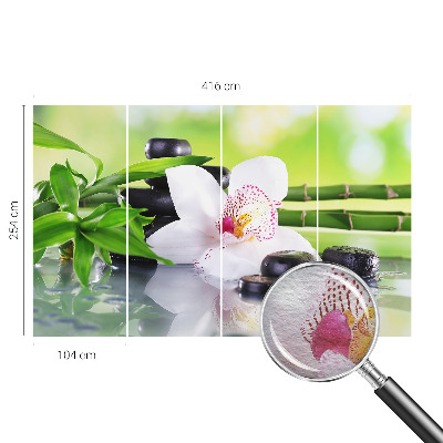 Tapet foto vlies Scânduri de lemn