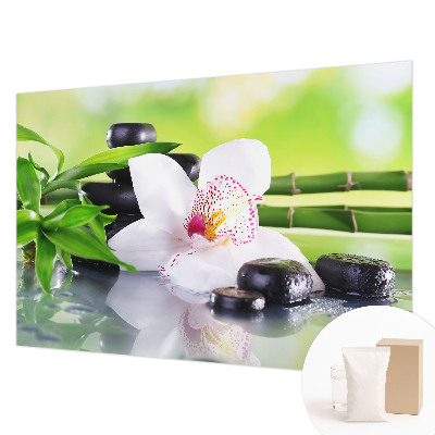 Tapet foto vlies Scânduri de lemn