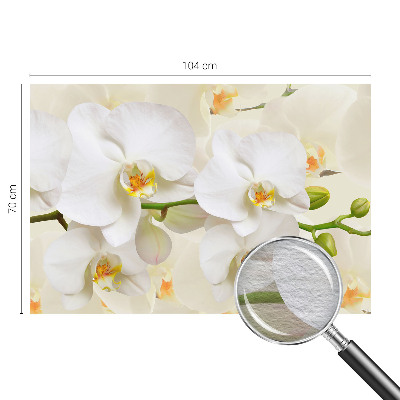 Fototapet vlies imprimat Textură cu frunze