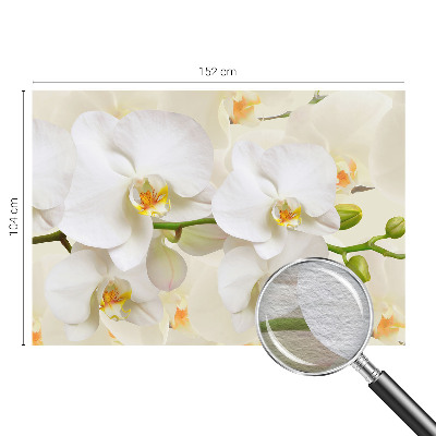 Fototapet vlies imprimat Textură cu frunze