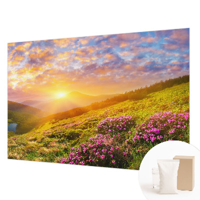 Fototapet decorativ pe perete cu un motiv de abstracție subtilă