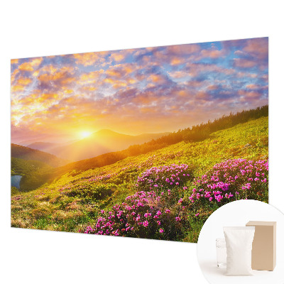 Fototapet decorativ pe perete Abstracție subtilă