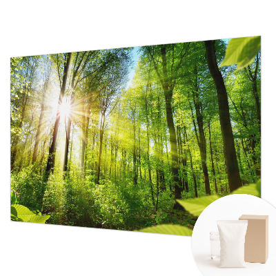 Fototapet modern pentru living Textură de marmură