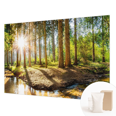 Fototapet modern la comandă Marmură delicată