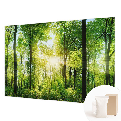 Fototapet pentru living cu design în nuanțe pastelate cu motive abstracte