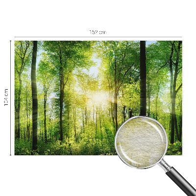 Fototapet pentru living Abstracție pastelată