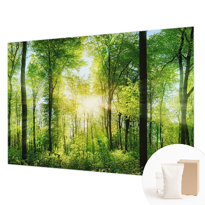 Fototapet pentru living Abstracție pastelată