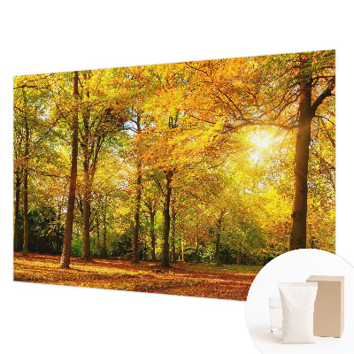 Fototapet cu motiv de piatră naturală