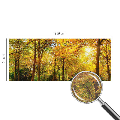 Fototapet Piatră naturală