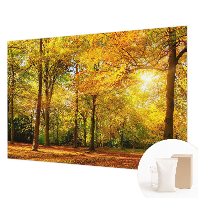 Fototapet Piatră naturală