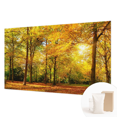 Fototapet Piatră naturală