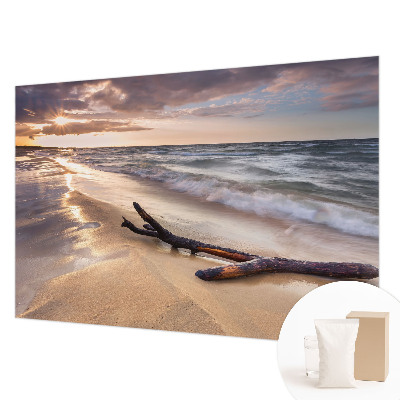 Fototapet decorativ pe perete cu model cu ramuri goale