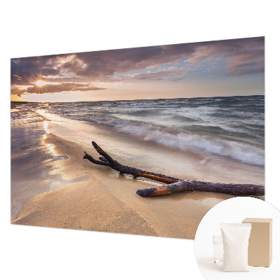 Fototapet decorativ pe perete Ramuri goale