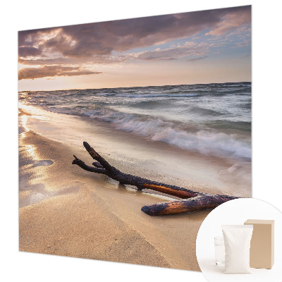 Fototapet decorativ pe perete Ramuri goale