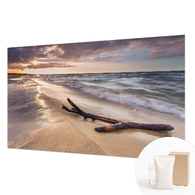 Fototapet decorativ pe perete Ramuri goale