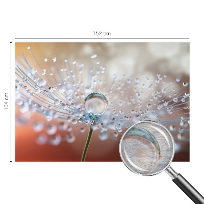 Fototapet modern Clădiri clasice