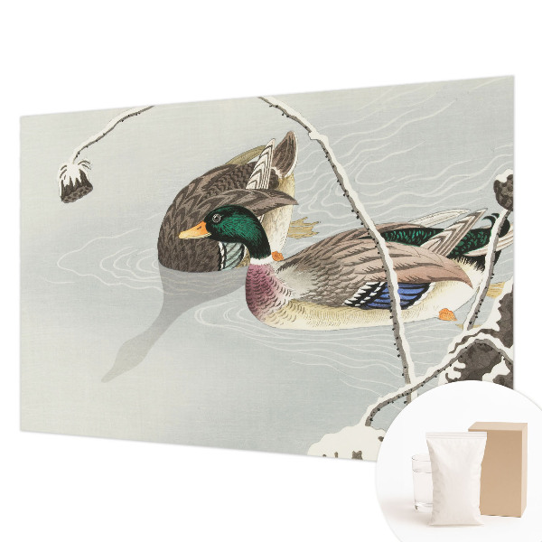 Fototapet vlies pe perete Armonia Apei