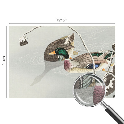 Fototapet vlies pe perete Armonia Apei