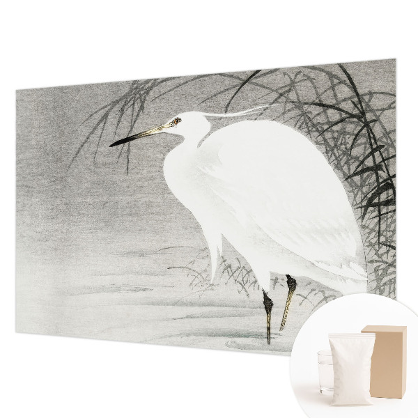 Fototapet pe perete Safari lunar